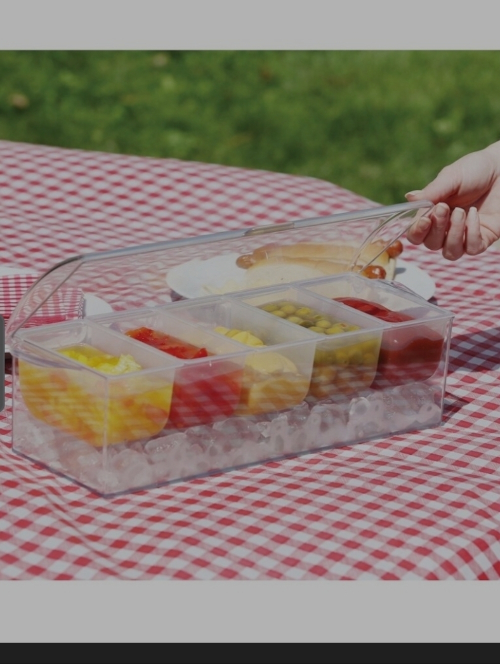 Ice Cooled Condiment Serving Container Chilled Garnish Tray with 5 Compartments